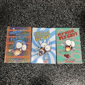 Fly Guy Tedd Arnold Set of 3 Hooray for Fly Guy , Old Lady, Fly High books